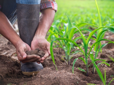 5 Práticas Sustentáveis para Aumentar a Produtividade na Sua Fazenda