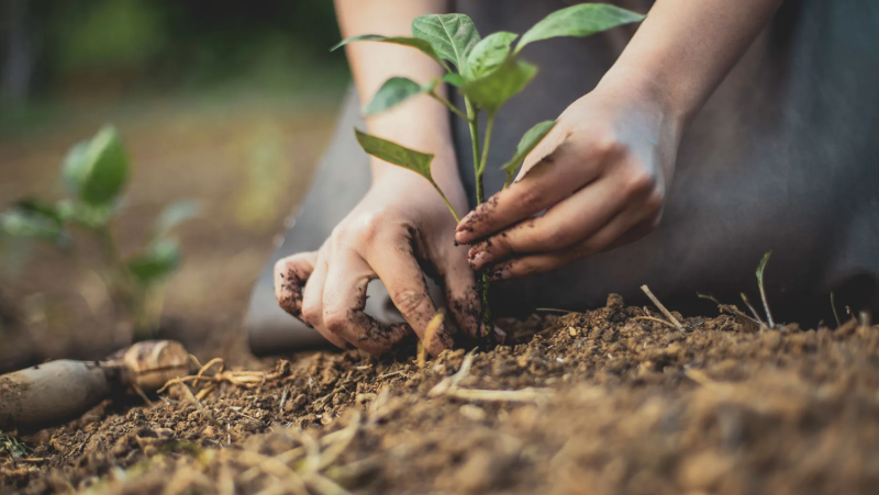 Economia Circular para um Futuro Mais Verde