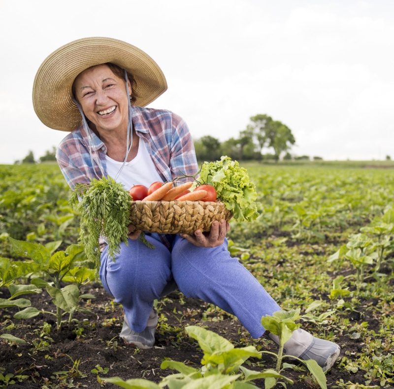 Fertilizantes de Ponta em Todo o Brasil