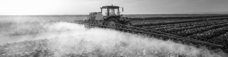 Fertilizantes Organominerais